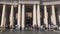 Panning view of the Saint Peter Square in the Vatican