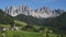 Panning view of Sass Ciampac Ciampatsch with a foreground of globeflower wildflowers Trollius europaeus in the Dolomites