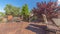 Pano Balcony with furniture and stairs overlooking trees and blue sky on a sunny day