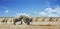 Pano of elephants and a large tower of giraffe against blue cloudy sky in Etosha