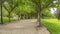 Pano Road lined with trees benches and lamp posts at a scenic park on a cloudy day