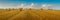 panoram of bales of straw in rolls, stubble after harvested wheat in the field, beautiful sky on the horizon, warm evening