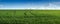 Panoram of green field of winter wheat with traces of agricultural machinery, early spring sprouts