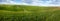 panoram of green grass field, hills and landscape lines with cloudy blue sky