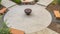 Panorama Aerial view of benches and fire pit on circular paved patio outside a building