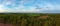 Panorama aerial view from drone Reforestation of eucalyptus for