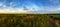 Panorama aerial view from drone Reforestation of eucalyptus for