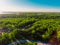 Panorama aerial view shot on cottage village in forest, suburb, village.