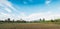 Panorama, agriculture with clouds and blue sky