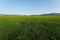 Panorama of airfield and Silesian Beskids in Bielsko-Biala city in Poland