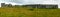 Panorama of amazing ruins of old gothic castle in Nothern Ireland. Green field with grazing sheep