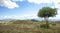Panorama of the Apennines mountains with tree in the foreground. Italy
