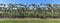 Panorama of apples on the vine, Long Island, NY