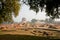 Panorama with archeological site at Sarnath ruins and Buddhist Dhamek stupa