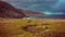 Panorama of the Arctic Ocean, hills and tundra Horizon