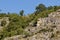 Panorama from the area of â€‹â€‹Rusenski Lom Nature Park with high vertical limestone cliffs, overgrown with deciduous trees