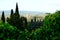 Panorama of the Assisi countryside with churches, houses and trees.