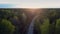 Panorama auto drives through pine forest and late sunset