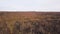 Panorama of autumn bare forest with stones. Clip. Top view of forested autumn hills with stones of destroyed mountains