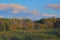 Panorama, Autumn floodplain forest