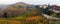 Panorama of autumn vineyards