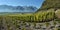 Panorama of autumn vineyards in Switzerland