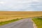 Panorama background wheat field