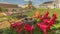 Panorama Backyard chairs around a stone fire pit adjacent to a picnic table with bench