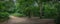 Panorama of Banstead woods