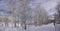 Panorama - Bare winter aspens with snowshow hikers