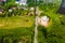 Panorama of the beautiful ancient city Veliky Novgorod, view of the city from the Novgorod shaft, only surviving tower