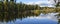Panorama of beautiful forest swamp