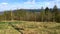 Panorama beautiful landscape in the Carpathian mountains in Ukraine in springtime.