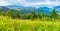 Panorama of a beautiful meadow in mountains