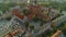 Panorama Beautiful Old Town Market Stargard Stare Miasto Rynek Aerial Poland