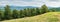 Panorama of a beech forest in carpathian mountains