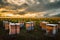 Panorama of beehives in corner of sunflower