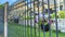 Panorama Black metal fence with potted colorful flowers against blurry homes and blue sky
