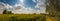 Panorama blossoming field and cloudy sky