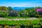 Panorama of Botanical Garden with blooming lilacs and Kyiv skyline, Ukraine