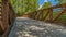 Panorama Bridge overlooking luxuriant trees with bright green leaves against blue sky