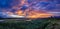 Panorama of bright orange and yellow sunset with blue clouds, thick tall grass and a flat lazy river