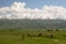 Panorama from Burana tower. Tokmok. Chuy Region. Kyrgyzstan