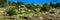 Panorama of cacti and rocks at Enchanted Rock State Natural Area in Texas