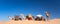 Panorama of camels in the Sand dunes desert of Sahara South Tunisia