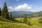 Panorama of Carpathian mountains in summer with lonely pine tree