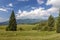 Panorama of Carpathian mountains in summer with lonely pine tree