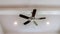 Panorama Ceiling fan with wood blades and built in lights on the ceiling beam of home