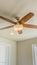 Panorama Ceiling fan with wooden five blade design and built in light