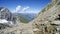 Panorama of Chamois Mountain Goat Animals on rock of Mont Blanc massif